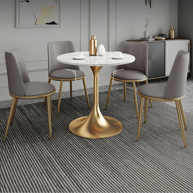 1/2/4/5 Pcs Metal Glam Dining Room Set with Round Table and Metal Base Dining Set Clearhalo 'Dining Room Sets' 'Dining Tables & Seating' 'dining_room_set' 'furn' 'furn_dining_room_set' 'Furniture' 'furniture_dining_room_set' 'Kitchen & Dining Furniture' 'kitchen&dining_furn' 'kitchen' 4421857