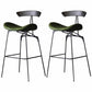 Iron Upholstered Counter Stools Industrial Low Back Bar Stools with Saddle Seat Green 2 Piece Set Clearhalo 'Bar Furniture' 'Bar Stools' 'bar_stools' 'furn' 'furn_bar_stools' 'furniture_bar_stools' 'Kitchen & Dining Furniture' 'kitchen&dining_furn' 'kitchen' 'kitchen_furn' Furniture' 4422773