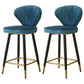 Metal Black Counter Stools Upholstered Low Back Scandinavian Bar Stools Blue 2 Piece Set Clearhalo 'Bar Furniture' 'Bar Stools' 'bar_stools' 'furn' 'furn_bar_stools' 'furniture_bar_stools' 'Kitchen & Dining Furniture' 'kitchen&dining_furn' 'kitchen' 'kitchen_furn' Furniture' 4422829