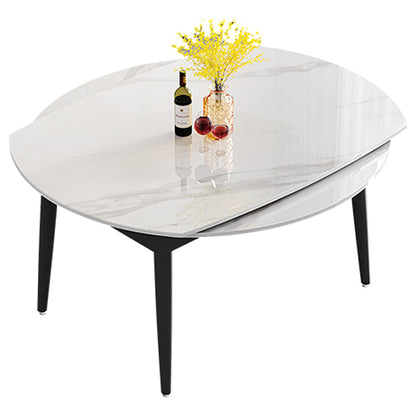 Contemporary Sintered Stone Dining Table Round Dining Table with 4 Legs White Without Chairs Clearhalo ' dining_table' 'Dining Tables & Seating' 'Dining Tables' 'furn' 'furn_dining_table' 'Furniture' 'furniture_dining_table' 'Kitchen & Dining Furniture' 'kitchen&dining_furn' 'kitchen' 'kitchen_dining_table' 4439354