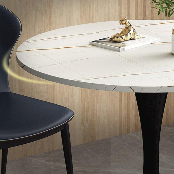 Stone Pedestal Dinning Table Contemporary Style Round Furniture for Indoor Clearhalo ' dining_table' 'Dining Tables & Seating' 'Dining Tables' 'furn' 'furn_dining_table' 'Furniture' 'furniture_dining_table' 'Kitchen & Dining Furniture' 'kitchen&dining_furn' 'kitchen' 'kitchen_dining_table' 4439421