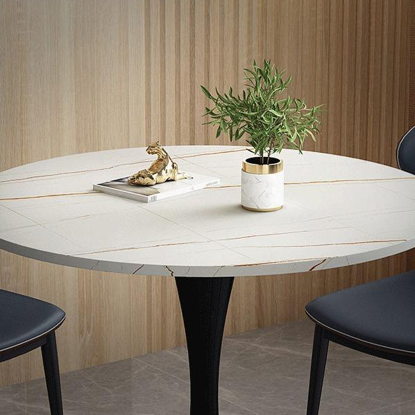 Stone Pedestal Dinning Table Contemporary Style Round Furniture for Indoor Clearhalo ' dining_table' 'Dining Tables & Seating' 'Dining Tables' 'furn' 'furn_dining_table' 'Furniture' 'furniture_dining_table' 'Kitchen & Dining Furniture' 'kitchen&dining_furn' 'kitchen' 'kitchen_dining_table' 4439422