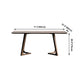 Rectangle Wood Dining Table Solid Wood Table Modern with Double Pedestal Base Clearhalo ' dining_table' 'Dining Tables & Seating' 'Dining Tables' 'furn' 'furn_dining_table' 'Furniture' 'furniture_dining_table' 'Kitchen & Dining Furniture' 'kitchen&dining_furn' 'kitchen' 'kitchen_dining_table' 4439440