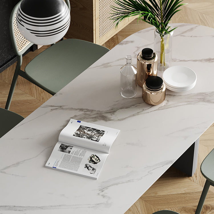 Solid Wood Oval Dining Table Modern Double Pedestal Table for Dining Room Clearhalo ' dining_table' 'Dining Tables & Seating' 'Dining Tables' 'furn' 'furn_dining_table' 'Furniture' 'furniture_dining_table' 'Kitchen & Dining Furniture' 'kitchen&dining_furn' 'kitchen' 'kitchen_dining_table' 4439563