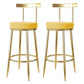 Glam Style Bar-stool Metal Legs Round Seat Barstool with Footrest for Kitchen Yellow 2 Piece Set Clearhalo 'Bar Furniture' 'Bar Stools' 'bar_stools' 'furn' 'furn_bar_stools' 'furniture_bar_stools' 'Kitchen & Dining Furniture' 'kitchen&dining_furn' 'kitchen' 'kitchen_furn' Furniture' 4439804
