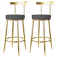 Glam Style Bar-stool Metal Legs Round Seat Barstool with Footrest for Kitchen Dark Gray 2 Piece Set Clearhalo 'Bar Furniture' 'Bar Stools' 'bar_stools' 'furn' 'furn_bar_stools' 'furniture_bar_stools' 'Kitchen & Dining Furniture' 'kitchen&dining_furn' 'kitchen' 'kitchen_furn' Furniture' 4439807