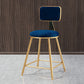 Glam Style Bar-stool Metal Legs Round Velvet Seat Barstool for Kitchen Blue 1 Piece Short Stool(18"H) Clearhalo 'Bar Furniture' 'Bar Stools' 'bar_stools' 'furn' 'furn_bar_stools' 'furniture_bar_stools' 'Kitchen & Dining Furniture' 'kitchen&dining_furn' 'kitchen' 'kitchen_furn' Furniture' 4439853