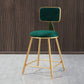 Glam Style Bar-stool Metal Legs Round Velvet Seat Barstool for Kitchen Green 1 Piece Short Stool(18"H) Clearhalo 'Bar Furniture' 'Bar Stools' 'bar_stools' 'furn' 'furn_bar_stools' 'furniture_bar_stools' 'Kitchen & Dining Furniture' 'kitchen&dining_furn' 'kitchen' 'kitchen_furn' Furniture' 4439859