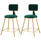 Glam Style Bar-stool Metal Legs Round Velvet Seat Barstool for Kitchen Green 2 Piece Set Short Stool(18"H) Clearhalo 'Bar Furniture' 'Bar Stools' 'bar_stools' 'furn' 'furn_bar_stools' 'furniture_bar_stools' 'Kitchen & Dining Furniture' 'kitchen&dining_furn' 'kitchen' 'kitchen_furn' Furniture' 4439861