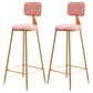 Glam Style Bar-stool Metal Legs Round Velvet Seat Barstool for Kitchen Pink 2 Piece Set Counter Stool(26"H) Clearhalo 'Bar Furniture' 'Bar Stools' 'bar_stools' 'furn' 'furn_bar_stools' 'furniture_bar_stools' 'Kitchen & Dining Furniture' 'kitchen&dining_furn' 'kitchen' 'kitchen_furn' Furniture' 4439866