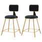 Glam Style Bar-stool Metal Legs Round Velvet Seat Barstool for Kitchen Black 2 Piece Set Short Stool(18"H) Clearhalo 'Bar Furniture' 'Bar Stools' 'bar_stools' 'furn' 'furn_bar_stools' 'furniture_bar_stools' 'Kitchen & Dining Furniture' 'kitchen&dining_furn' 'kitchen' 'kitchen_furn' Furniture' 4439869