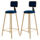Glam Style Bar-stool Metal Legs Round Velvet Seat Barstool for Kitchen Blue 2 Piece Set Counter Stool(26"H) Clearhalo 'Bar Furniture' 'Bar Stools' 'bar_stools' 'furn' 'furn_bar_stools' 'furniture_bar_stools' 'Kitchen & Dining Furniture' 'kitchen&dining_furn' 'kitchen' 'kitchen_furn' Furniture' 4439872