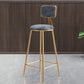 Glam Style Bar-stool Metal Legs Round Velvet Seat Barstool for Kitchen Grey 1 Piece Counter Stool(26"H) Clearhalo 'Bar Furniture' 'Bar Stools' 'bar_stools' 'furn' 'furn_bar_stools' 'furniture_bar_stools' 'Kitchen & Dining Furniture' 'kitchen&dining_furn' 'kitchen' 'kitchen_furn' Furniture' 4439874