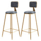 Glam Style Bar-stool Metal Legs Round Velvet Seat Barstool for Kitchen Grey 2 Piece Set Counter Stool(26"H) Clearhalo 'Bar Furniture' 'Bar Stools' 'bar_stools' 'furn' 'furn_bar_stools' 'furniture_bar_stools' 'Kitchen & Dining Furniture' 'kitchen&dining_furn' 'kitchen' 'kitchen_furn' Furniture' 4439875