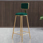 Glam Style Bar-stool Metal Legs Round Velvet Seat Barstool for Kitchen Green 1 Piece Counter Stool(26"H) Clearhalo 'Bar Furniture' 'Bar Stools' 'bar_stools' 'furn' 'furn_bar_stools' 'furniture_bar_stools' 'Kitchen & Dining Furniture' 'kitchen&dining_furn' 'kitchen' 'kitchen_furn' Furniture' 4439877