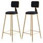 Glam Style Bar-stool Metal Legs Round Velvet Seat Barstool for Kitchen Black 2 Piece Set Counter Stool(26"H) Clearhalo 'Bar Furniture' 'Bar Stools' 'bar_stools' 'furn' 'furn_bar_stools' 'furniture_bar_stools' 'Kitchen & Dining Furniture' 'kitchen&dining_furn' 'kitchen' 'kitchen_furn' Furniture' 4439887