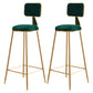 Glam Style Bar-stool Metal Legs Round Velvet Seat Barstool for Kitchen Green 2 Piece Set Bar Stool(30"H) Clearhalo 'Bar Furniture' 'Bar Stools' 'bar_stools' 'furn' 'furn_bar_stools' 'furniture_bar_stools' 'Kitchen & Dining Furniture' 'kitchen&dining_furn' 'kitchen' 'kitchen_furn' Furniture' 4439896