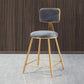Glam Style Bar-stool Metal Legs Round Velvet Seat Barstool for Kitchen Grey 1 Piece Short Stool(18"H) Clearhalo 'Bar Furniture' 'Bar Stools' 'bar_stools' 'furn' 'furn_bar_stools' 'furniture_bar_stools' 'Kitchen & Dining Furniture' 'kitchen&dining_furn' 'kitchen' 'kitchen_furn' Furniture' 4439898