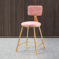Glam Style Bar-stool Metal Legs Round Velvet Seat Barstool for Kitchen Pink 1 Piece Short Stool(18"H) Clearhalo 'Bar Furniture' 'Bar Stools' 'bar_stools' 'furn' 'furn_bar_stools' 'furniture_bar_stools' 'Kitchen & Dining Furniture' 'kitchen&dining_furn' 'kitchen' 'kitchen_furn' Furniture' 4439904