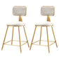 Glam Style Bar-stool Metal Legs Round Velvet Seat Barstool for Kitchen White 2 Piece Set Short Stool(18"H) Clearhalo 'Bar Furniture' 'Bar Stools' 'bar_stools' 'furn' 'furn_bar_stools' 'furniture_bar_stools' 'Kitchen & Dining Furniture' 'kitchen&dining_furn' 'kitchen' 'kitchen_furn' Furniture' 4439911