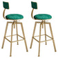 Glam Style Bar-stool with Adjustable Height Swivel Round Seat Barstool in Gold Blackish Green 2 Piece Set Low Back Clearhalo 'Bar Furniture' 'Bar Stools' 'bar_stools' 'furn' 'furn_bar_stools' 'furniture_bar_stools' 'Kitchen & Dining Furniture' 'kitchen&dining_furn' 'kitchen' 'kitchen_furn' Furniture' 4440767
