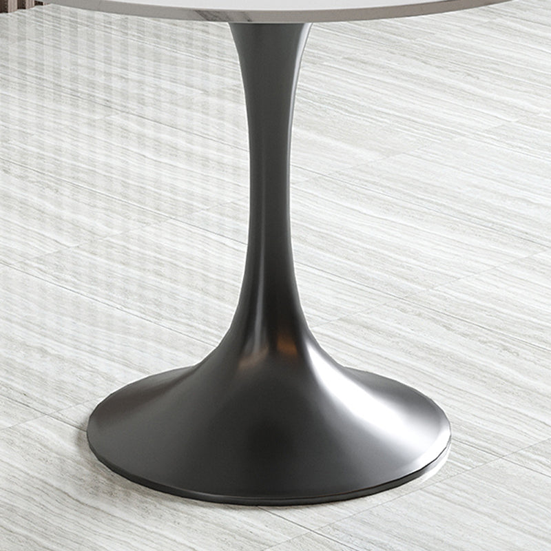 Contemporary 1/5 Pieces Dining Set Sintered Stone Dinette Table Set Clearhalo 'Dining Room Sets' 'Dining Tables & Seating' 'dining_room_set' 'furn' 'furn_dining_room_set' 'Furniture' 'furniture_dining_room_set' 'Kitchen & Dining Furniture' 'kitchen&dining_furn' 'kitchen' 4451945