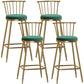 Glam Armless Backrest Counter Stool Steel Milk Tea Shop Bar Stool with Velvet Cushion Green 4 Piece Set Bar Stool(30"H) Clearhalo 'Bar Furniture' 'Bar Stools' 'bar_stools' 'furn' 'furn_bar_stools' 'furniture_bar_stools' 'Kitchen & Dining Furniture' 'kitchen&dining_furn' 'kitchen' 'kitchen_furn' Furniture' 4452537