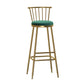 Glam Armless Backrest Counter Stool Steel Milk Tea Shop Bar Stool with Velvet Cushion Green 1 Piece Bar Stool(33"H) Clearhalo 'Bar Furniture' 'Bar Stools' 'bar_stools' 'furn' 'furn_bar_stools' 'furniture_bar_stools' 'Kitchen & Dining Furniture' 'kitchen&dining_furn' 'kitchen' 'kitchen_furn' Furniture' 4452543
