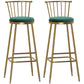 Glam Armless Backrest Counter Stool Steel Milk Tea Shop Bar Stool with Velvet Cushion Green 2 Piece Set Bar Stool(33"H) Clearhalo 'Bar Furniture' 'Bar Stools' 'bar_stools' 'furn' 'furn_bar_stools' 'furniture_bar_stools' 'Kitchen & Dining Furniture' 'kitchen&dining_furn' 'kitchen' 'kitchen_furn' Furniture' 4452544
