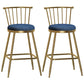Glam Armless Backrest Counter Stool Steel Milk Tea Shop Bar Stool with Velvet Cushion Blue 2 Piece Set Counter Stool(26"H) Clearhalo 'Bar Furniture' 'Bar Stools' 'bar_stools' 'furn' 'furn_bar_stools' 'furniture_bar_stools' 'Kitchen & Dining Furniture' 'kitchen&dining_furn' 'kitchen' 'kitchen_furn' Furniture' 4452553