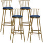 Glam Armless Backrest Counter Stool Steel Milk Tea Shop Bar Stool with Velvet Cushion Blue 4 Piece Set Bar Stool(33"H) Clearhalo 'Bar Furniture' 'Bar Stools' 'bar_stools' 'furn' 'furn_bar_stools' 'furniture_bar_stools' 'Kitchen & Dining Furniture' 'kitchen&dining_furn' 'kitchen' 'kitchen_furn' Furniture' 4452557