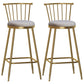 Glam Armless Backrest Counter Stool Steel Milk Tea Shop Bar Stool with Velvet Cushion Gray 2 Piece Set Bar Stool(30"H) Clearhalo 'Bar Furniture' 'Bar Stools' 'bar_stools' 'furn' 'furn_bar_stools' 'furniture_bar_stools' 'Kitchen & Dining Furniture' 'kitchen&dining_furn' 'kitchen' 'kitchen_furn' Furniture' 4452571