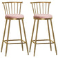 Glam Armless Backrest Counter Stool Steel Milk Tea Shop Bar Stool with Velvet Cushion Pink 2 Piece Set Bar Stool(30"H) Clearhalo 'Bar Furniture' 'Bar Stools' 'bar_stools' 'furn' 'furn_bar_stools' 'furniture_bar_stools' 'Kitchen & Dining Furniture' 'kitchen&dining_furn' 'kitchen' 'kitchen_furn' Furniture' 4452586