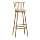 Glam Armless Backrest Counter Stool Steel Milk Tea Shop Bar Stool with Velvet Cushion Pink 1 Piece Bar Stool(33"H) Clearhalo 'Bar Furniture' 'Bar Stools' 'bar_stools' 'furn' 'furn_bar_stools' 'furniture_bar_stools' 'Kitchen & Dining Furniture' 'kitchen&dining_furn' 'kitchen' 'kitchen_furn' Furniture' 4452588