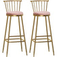 Glam Armless Backrest Counter Stool Steel Milk Tea Shop Bar Stool with Velvet Cushion Pink 2 Piece Set Bar Stool(33"H) Clearhalo 'Bar Furniture' 'Bar Stools' 'bar_stools' 'furn' 'furn_bar_stools' 'furniture_bar_stools' 'Kitchen & Dining Furniture' 'kitchen&dining_furn' 'kitchen' 'kitchen_furn' Furniture' 4452589