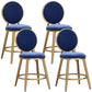 Glam Backrest Armless Counter Stool Iron Cafe Bar Stool with Velvet Cushion and Pedal Blue 4 Piece Set Short Stool(18"H) Clearhalo 'Bar Furniture' 'Bar Stools' 'bar_stools' 'furn' 'furn_bar_stools' 'furniture_bar_stools' 'Kitchen & Dining Furniture' 'kitchen&dining_furn' 'kitchen' 'kitchen_furn' Furniture' 4452744