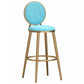 Glam Backrest Armless Counter Stool Iron Cafe Bar Stool with Velvet Cushion and Pedal Sky Blue 1 Piece Bar Stool(30"H) Clearhalo 'Bar Furniture' 'Bar Stools' 'bar_stools' 'furn' 'furn_bar_stools' 'furniture_bar_stools' 'Kitchen & Dining Furniture' 'kitchen&dining_furn' 'kitchen' 'kitchen_furn' Furniture' 4452762