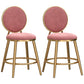 Glam Backrest Armless Counter Stool Iron Cafe Bar Stool with Velvet Cushion and Pedal Pink 2 Piece Set Short Stool(18"H) Clearhalo 'Bar Furniture' 'Bar Stools' 'bar_stools' 'furn' 'furn_bar_stools' 'furniture_bar_stools' 'Kitchen & Dining Furniture' 'kitchen&dining_furn' 'kitchen' 'kitchen_furn' Furniture' 4452766