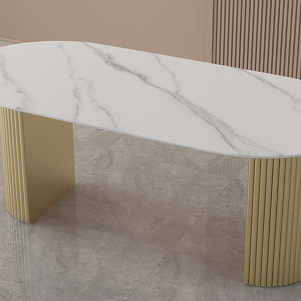 Modern Style Dining Table Oval Double Pedestal Dining Table for Home Clearhalo ' dining_table' 'Dining Tables & Seating' 'Dining Tables' 'furn' 'furn_dining_table' 'Furniture' 'furniture_dining_table' 'Kitchen & Dining Furniture' 'kitchen&dining_furn' 'kitchen' 'kitchen_dining_table' 4457426