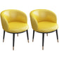 Contemporary Home Leather Arm Chair Solid Back Matte Finish Dining Chair Yellow 2 Piece Set Clearhalo ' kitchen&dining_furn' 'Dining Chairs' 'Dining Tables & Seating' 'dining_chair' 'furn' 'furn_dining_chair' 'Furniture' 'furniture_dining_chair' 'Kitchen & Dining Furniture' 'kitchen' 4458051
