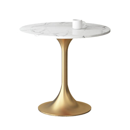 1/3/4/5 Pcs Metal Scandinavian Dining Room Set with Round Table Dinette Set White 31"L x 31"W Clearhalo 'Dining Room Sets' 'Dining Tables & Seating' 'dining_room_set' 'furn' 'furn_dining_room_set' 'Furniture' 'furniture_dining_room_set' 'Kitchen & Dining Furniture' 'kitchen&dining_furn' 'kitchen' 4458581