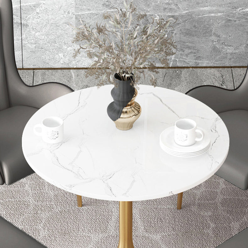 1/3/4/5 Pcs Metal Scandinavian Dining Room Set with Round Table Dinette Set Clearhalo 'Dining Room Sets' 'Dining Tables & Seating' 'dining_room_set' 'furn' 'furn_dining_room_set' 'Furniture' 'furniture_dining_room_set' 'Kitchen & Dining Furniture' 'kitchen&dining_furn' 'kitchen' 4458588