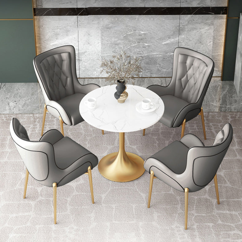 1/3/4/5 Pcs Metal Scandinavian Dining Room Set with Round Table Dinette Set Clearhalo 'Dining Room Sets' 'Dining Tables & Seating' 'dining_room_set' 'furn' 'furn_dining_room_set' 'Furniture' 'furniture_dining_room_set' 'Kitchen & Dining Furniture' 'kitchen&dining_furn' 'kitchen' 4458593