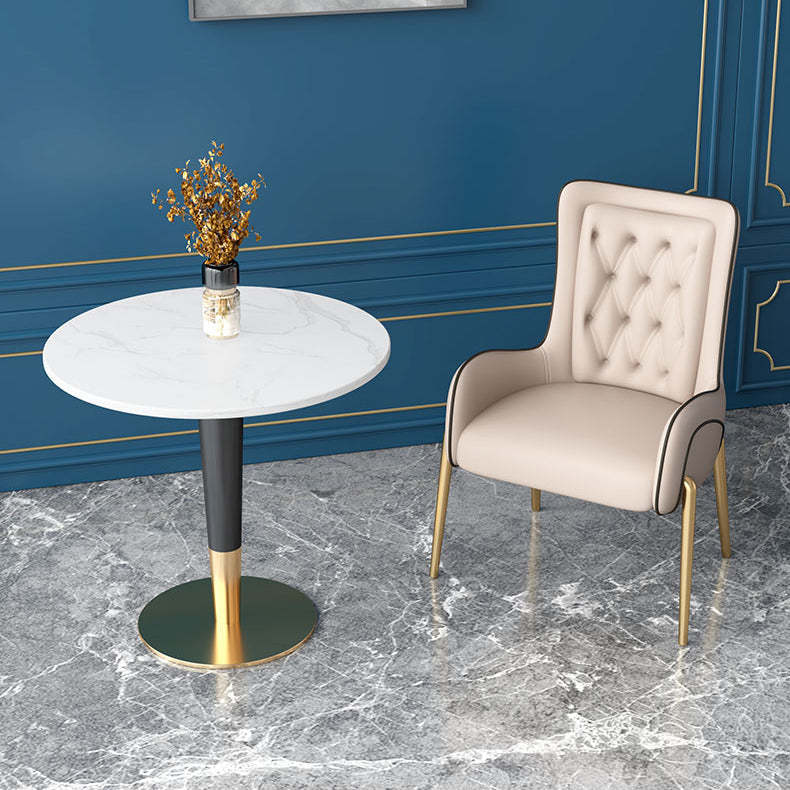 Glam 1/2 Pieces Dining Set Sintered Stone Dining Furniture for Home Use Clearhalo 'Dining Room Sets' 'Dining Tables & Seating' 'dining_room_set' 'furn' 'furn_dining_room_set' 'Furniture' 'furniture_dining_room_set' 'Kitchen & Dining Furniture' 'kitchen&dining_furn' 'kitchen' 4458629
