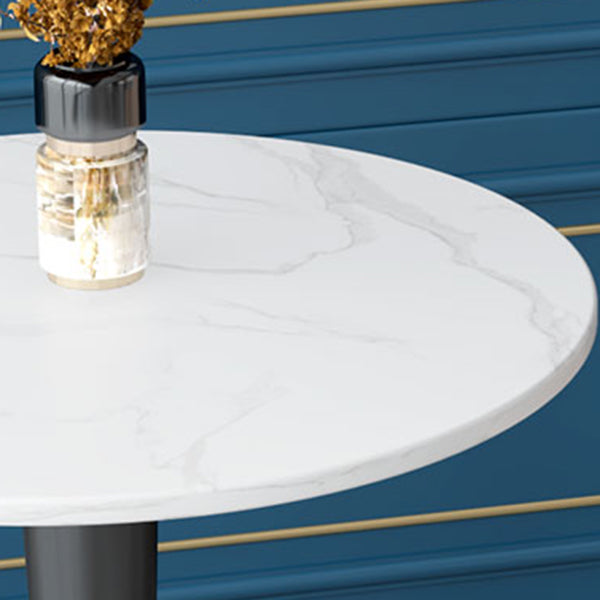 Glam 1/2 Pieces Dining Set Sintered Stone Dining Furniture for Home Use Clearhalo 'Dining Room Sets' 'Dining Tables & Seating' 'dining_room_set' 'furn' 'furn_dining_room_set' 'Furniture' 'furniture_dining_room_set' 'Kitchen & Dining Furniture' 'kitchen&dining_furn' 'kitchen' 4458635