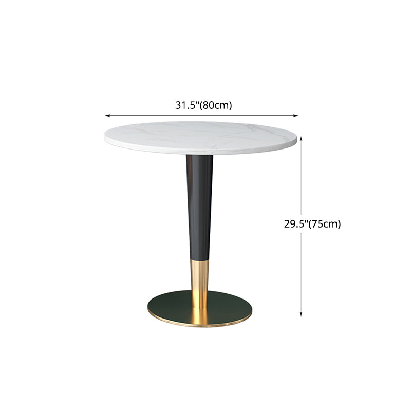 Glam 1/2 Pieces Dining Set Sintered Stone Dining Furniture for Home Use Clearhalo 'Dining Room Sets' 'Dining Tables & Seating' 'dining_room_set' 'furn' 'furn_dining_room_set' 'Furniture' 'furniture_dining_room_set' 'Kitchen & Dining Furniture' 'kitchen&dining_furn' 'kitchen' 4458646