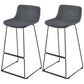 Contemporary Metal Bar Stool Indoor Bar Stool with Metal Legs and Low Back Dark Gray 2 Piece Set Clearhalo 'Bar Furniture' 'Bar Stools' 'bar_stools' 'furn' 'furn_bar_stools' 'furniture_bar_stools' 'Kitchen & Dining Furniture' 'kitchen&dining_furn' 'kitchen' 'kitchen_furn' Furniture' 4462507