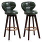 Modern Backrest Rotatable Counter Stool Wood Kitchen Bar Stool with Cushion and Pedal Blackish Green Brown 2 Piece Set Clearhalo 'Bar Furniture' 'Bar Stools' 'bar_stools' 'furn' 'furn_bar_stools' 'furniture_bar_stools' 'Kitchen & Dining Furniture' 'kitchen&dining_furn' 'kitchen' 'kitchen_furn' Furniture' 4463228