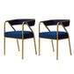 Glam Velvet Dining Room Chair Open Back Dining Side Chairs for Restaurant Use Blue 2 Piece Set Clearhalo ' kitchen&dining_furn' 'Dining Chairs' 'Dining Tables & Seating' 'dining_chair' 'furn' 'furn_dining_chair' 'Furniture' 'furniture_dining_chair' 'Kitchen & Dining Furniture' 'kitchen' 4468472