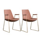Scandinavian Design Solid Back Dining Side Chair Leather Dining Side Chair Brown 2 Piece Set Brass Gold Clearhalo ' kitchen&dining_furn' 'Dining Chairs' 'Dining Tables & Seating' 'dining_chair' 'furn' 'furn_dining_chair' 'Furniture' 'furniture_dining_chair' 'Kitchen & Dining Furniture' 'kitchen' 4468519